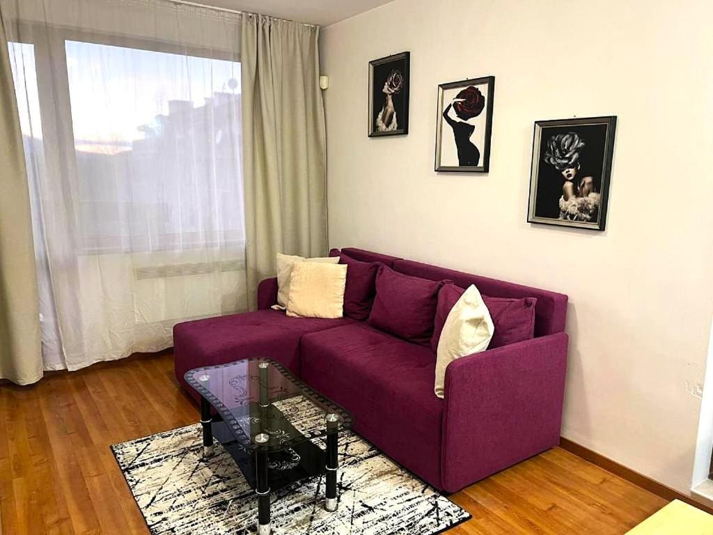 Vip Apartment Belvedere Club バンスコ エクステリア 写真