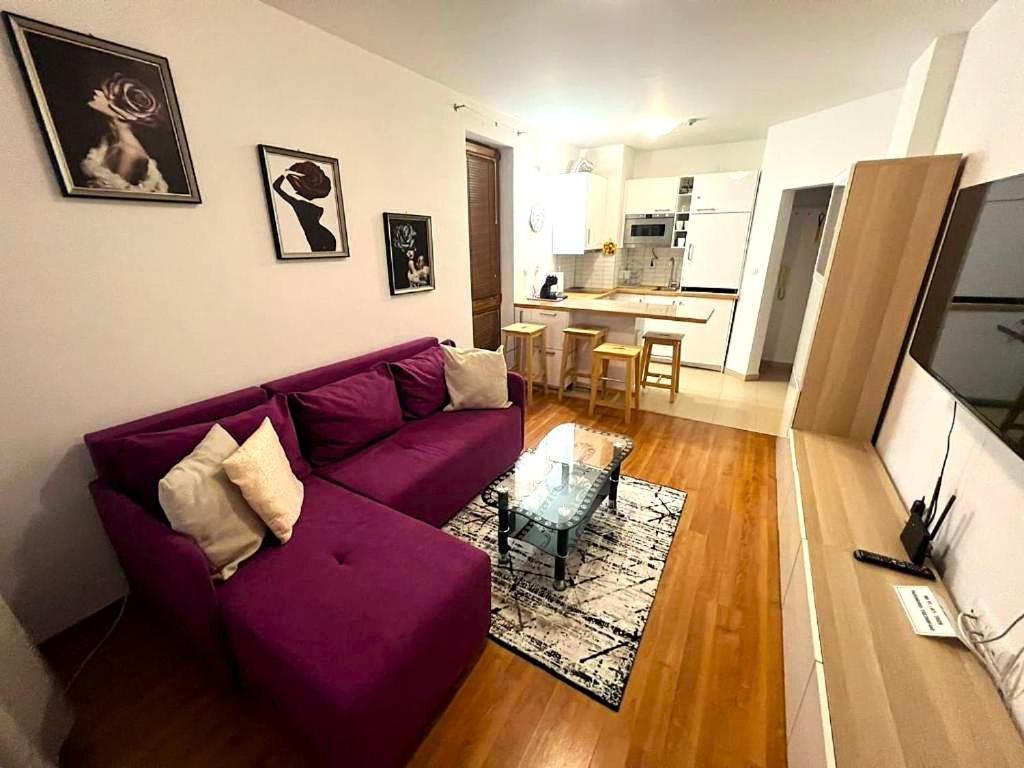 Vip Apartment Belvedere Club バンスコ エクステリア 写真